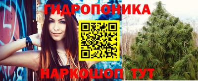 мяу мяу мука Уссурийск