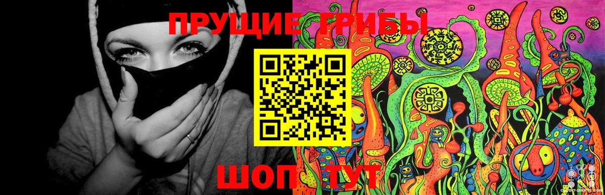 Псилоцибиновые грибы Psilocybine cubensis Миллерово